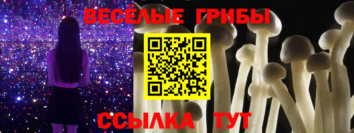 Псилоцибиновые грибы мухоморы  Псилоцибиновые грибы мухоморы  Чайковский  Вход с VPN 